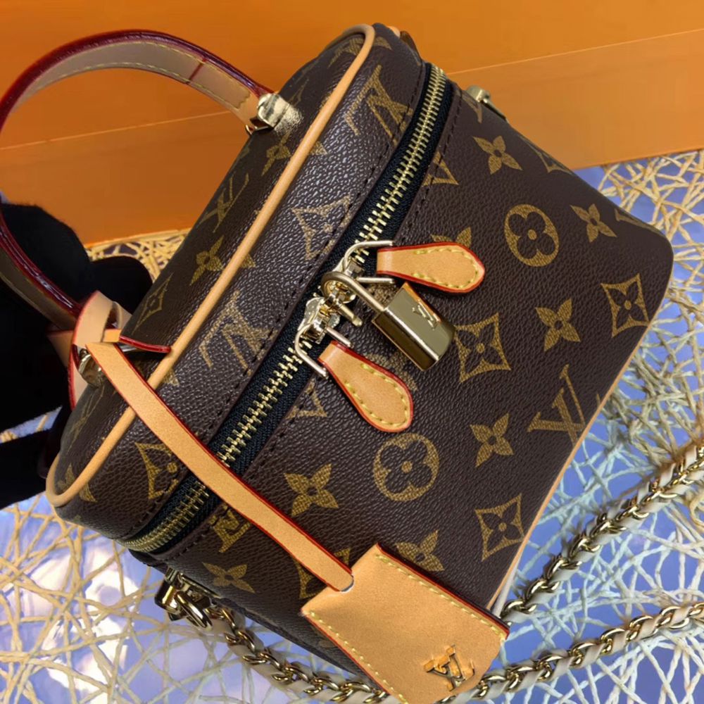 حقيبة يد وكتف نسائية فاخرة Louis Vuitton Vanity PM Case_thumbnail_1
